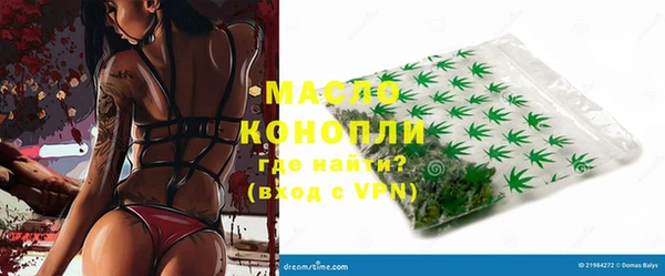хмурый Аркадак
