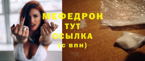 хмурый Аркадак