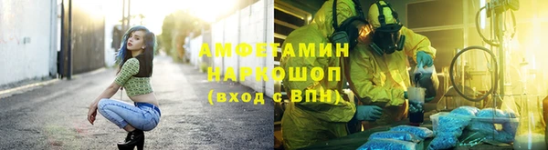 хмурый Аркадак