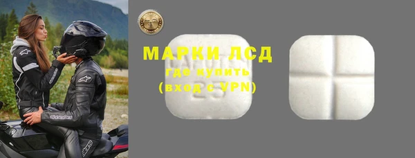 хмурый Аркадак