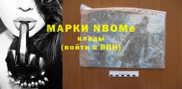 хмурый Аркадак