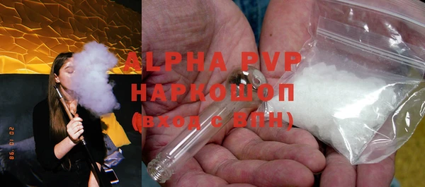 хмурый Аркадак