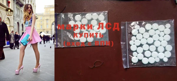 хмурый Аркадак